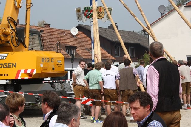 Maibaum 2013